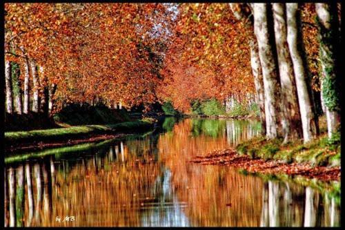 Casa Du Bassin Bed and Breakfast Castelnaudary Εξωτερικό φωτογραφία